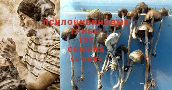 индика Армянск