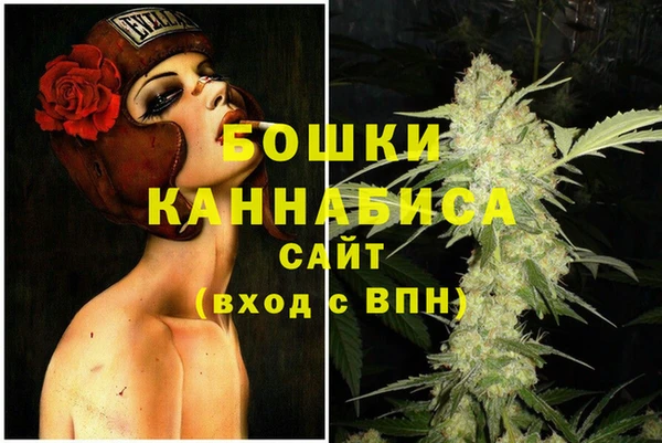 дмт Аркадак