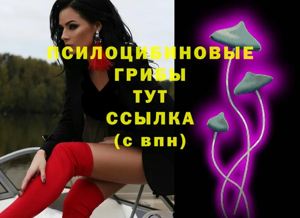 дмт Аркадак
