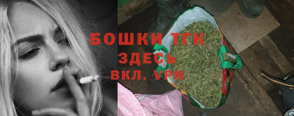 индика Армянск