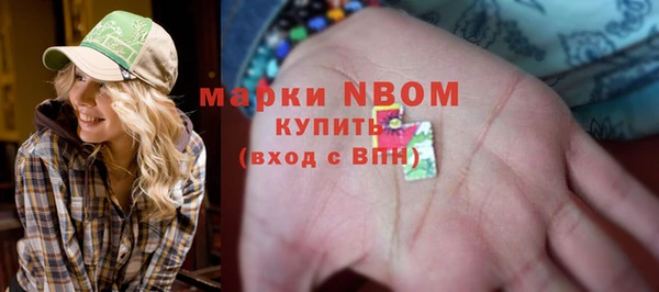 индика Армянск