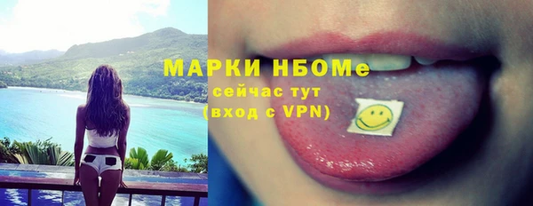 индика Армянск